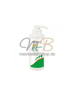 Camillen 60 Fussbalsam Plus 500 ml mit Spender